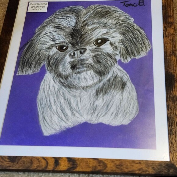Hand Crafted Shih-Tzu Dog Colored Pencil Drawing Framed 9x11" - Picture 3 of 16